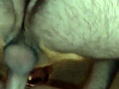 Wife sucks and cums on camera